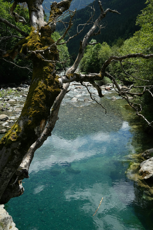 镁离子水质监测技术