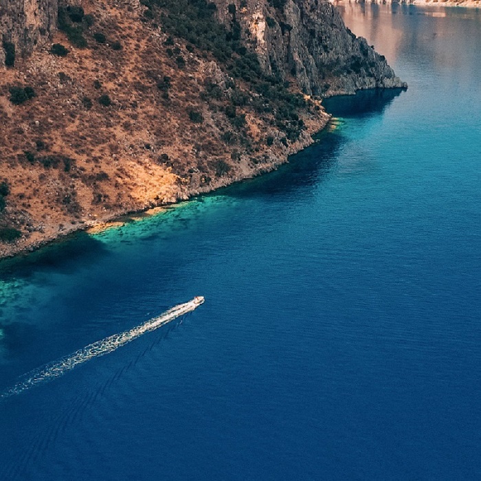 1783750723542934.jpg 205.jpg